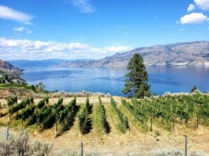 Winery on the way from Kelowna to Penticton with beautiful views of Okanagan Lake and vineyards