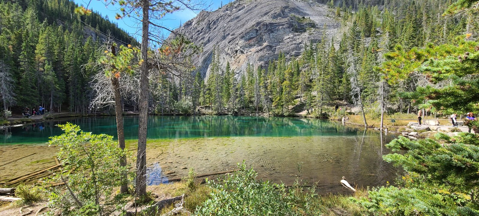 Grassi Lake